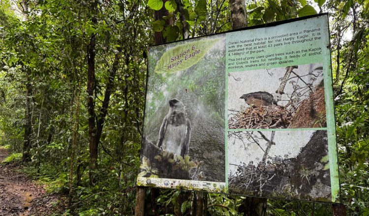 Parque Nacional de Darién, el más extenso del país.  Archivo