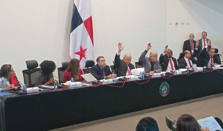 Los diputados que avalaron el proyecto fueron Julio de la Guardia, Benicio Robinson, Luis Eduardo Camacho, Raphael Buchanan, Osman Gómez y Alaín Cedeño. Pancho Paz