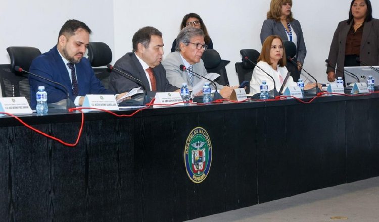 La sesión se dilató para, finalmente, prohijar un anteproyecto de la diputada Yamireliz Chong.  Cortesía