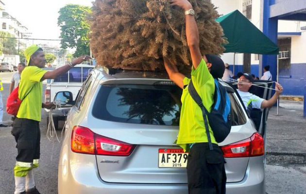Llegada de "arbolitos" desplaza celebración del 28 de Noviembre