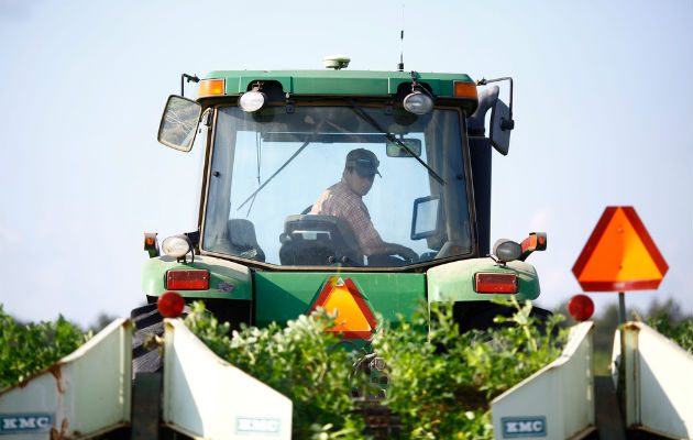 Crecen las bancarrotas de los agricultores de EU, dicen cifras. Foto/ Melissa Golden para The New York Times.