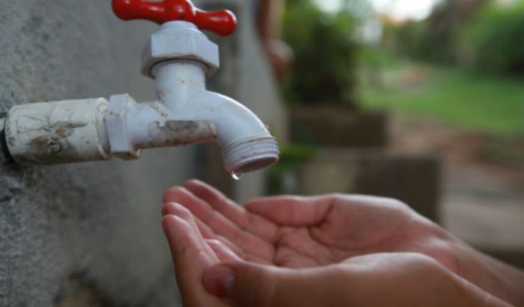 Participarán ingenieros agrónomos, físicos, químicos y arquitectos. Archivo.