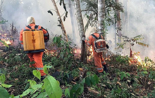 Incendio en la amazonía brasileña, en Porto Velho, capital del estado amazónico de Rondonia. Foto: EFE.