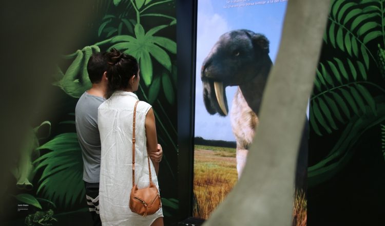 Todos los meses el Biomuseo regala hasta 1000 entradas durante el primer fin de semana. Cortesía