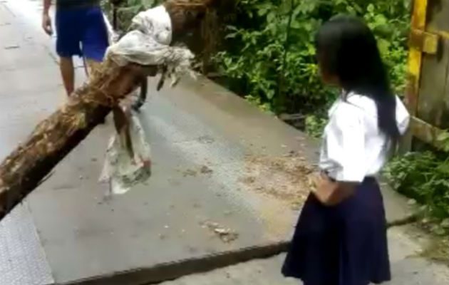 A los vehículos se les ha prohibido el paso. Foto: Mayra Madrid.