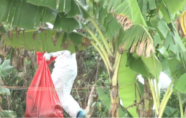 Luz Michelle Orocú fue asesinada cuando apenas tenía 27 años.