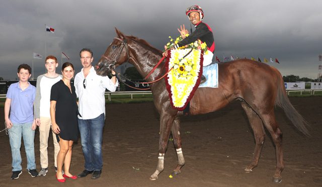 Capocostello es considerado un de los mejores caballos en Panamá.