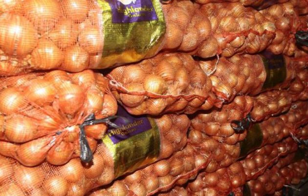 La cebolla es uno de los productos regulados dentro del Control de Precios y tiene un costo de 80 centavos la libra. Foto/Archivo