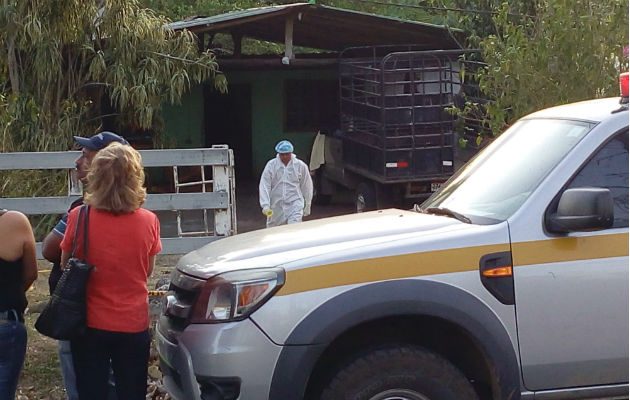Piden pena de 50 años para los asesinos. Foto: José Vásquez.