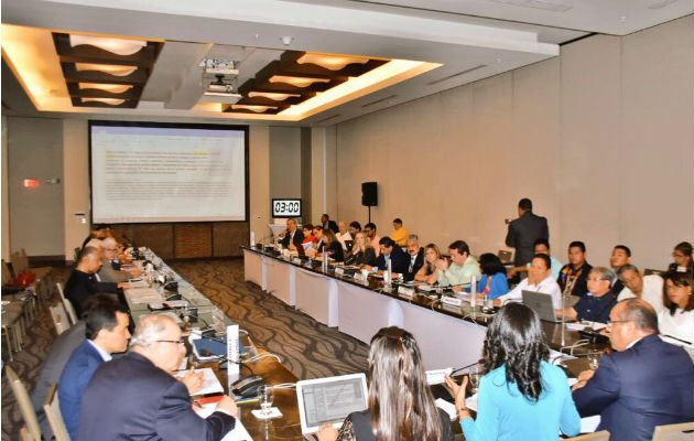 El documento aprobado por Concertación contiene también aspectos donde no hubo consenso.