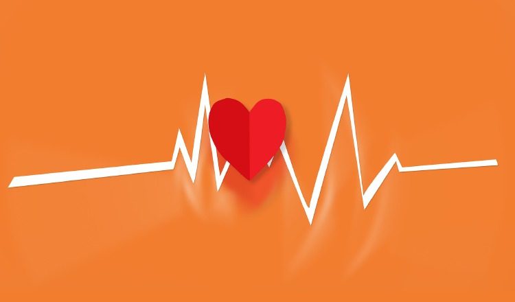 Campaña por la salud del corazón.  PixabayCampaña por la salud del corazón.  Pixabay