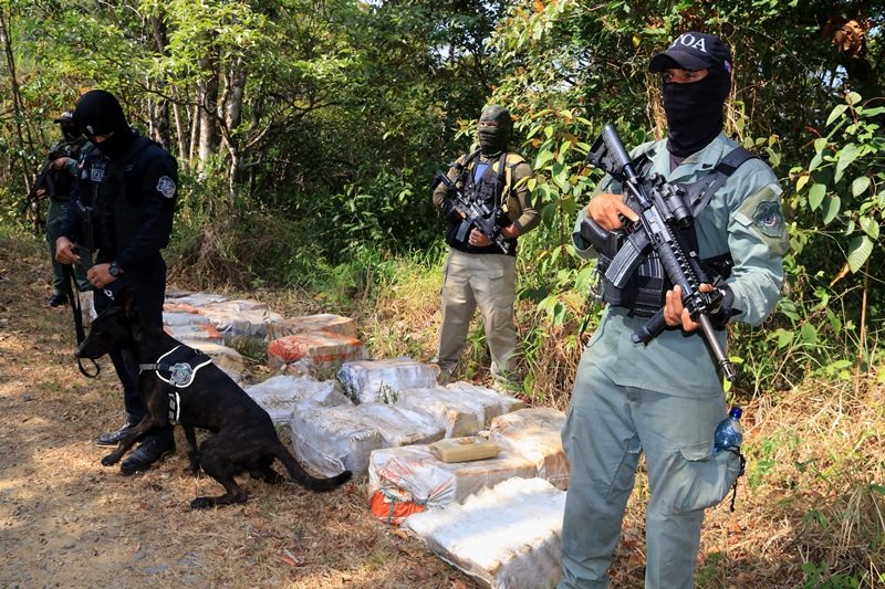 La droga fue ubicada en el área de San Pedro, en Cerro Azul. 