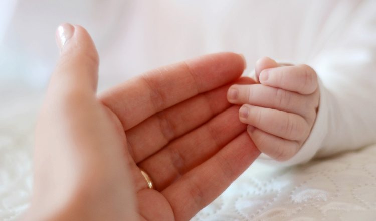 Los bebés son una esponja de conocimientos.  Fotos: web