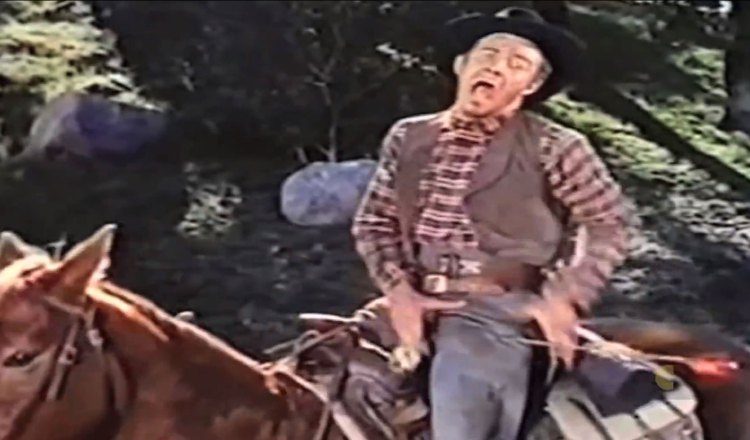 Ha aparecido en decenas de películas desde entonces.