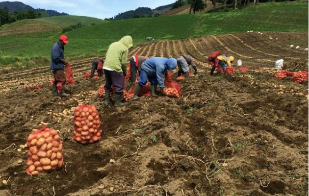 Foto: José Vásquez