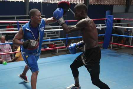 El boxeo es uno de los tantos deportes gustados en Panamá.