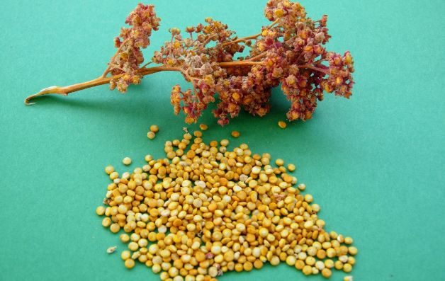 Ensalada de quinua con taboule 