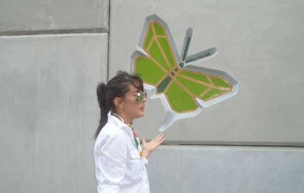  Mariposas Monarca,  otra cara de Panamá 