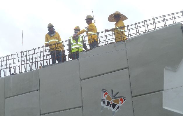  Mariposas Monarca,  otra cara de Panamá 
