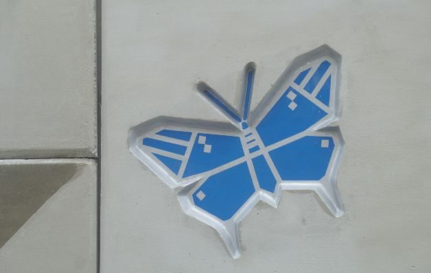  Mariposas Monarca,  otra cara de Panamá 