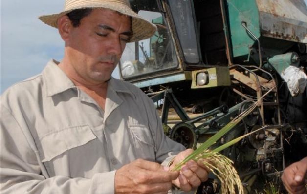 Productores recurren a la banca privada para poder adquirir créditos 