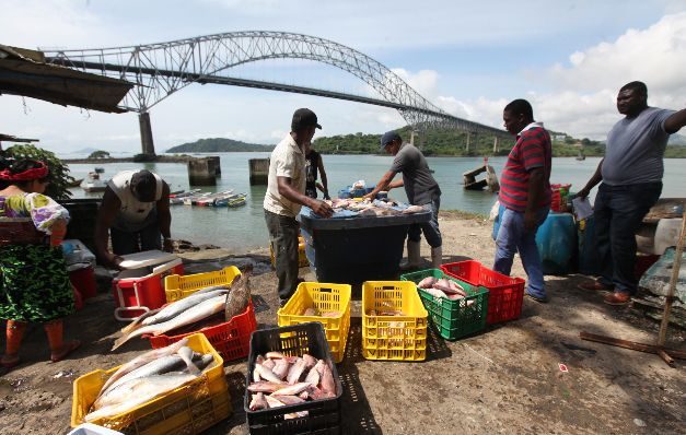 Severa escasez por El Niño eleva precios del pescado