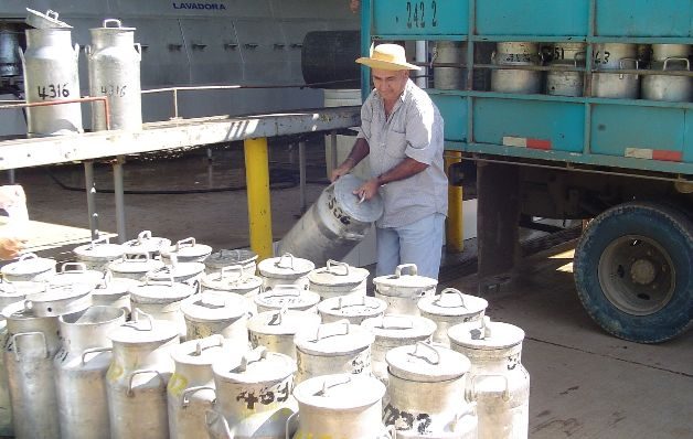 Lecheros piden al Mida ayuda para producir más   