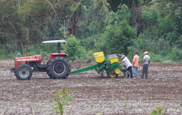 Siembra de maíz avanza, a pesar de los problemas causados por la sequía 