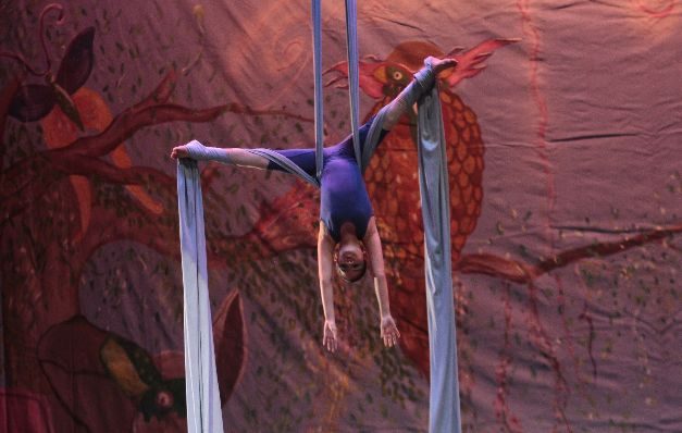 Gramo Danse sigue celebrando la danza