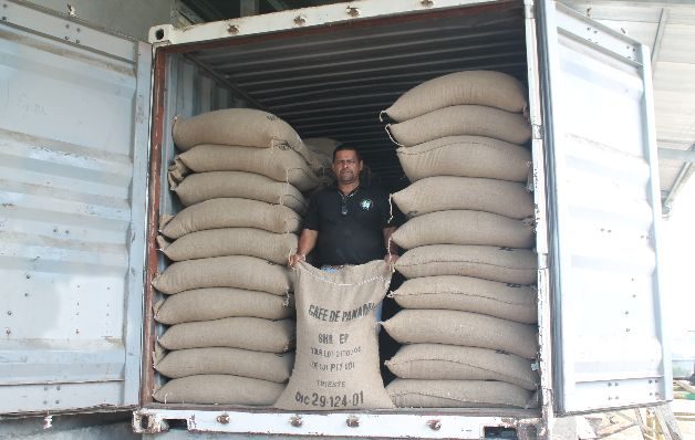 Los cambios de temperatura afectan la producción de café. / José Vásquez