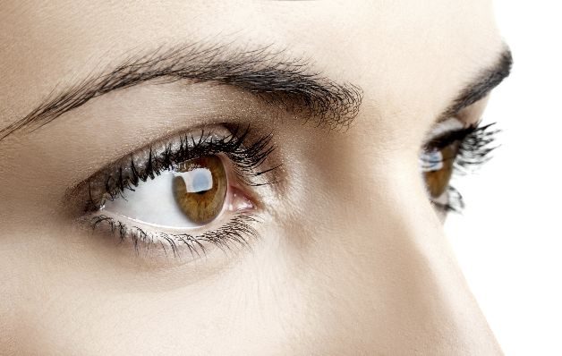 Ojos: pérdida de visión progresiva que puede llevar a la ceguera. 