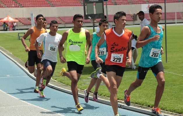 Según Concepción, es Ortiz la única persona quien se encarga de tomar decisiones sin consultar a lo interno de la Fepat. / Anayansi Gamez