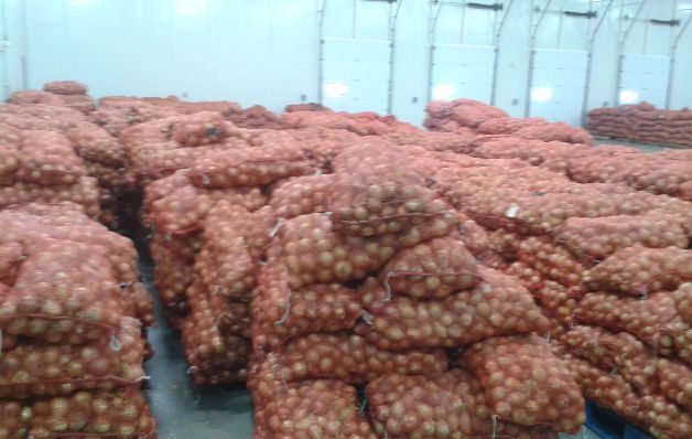 Mida decomisa 500 quintales de cebolla