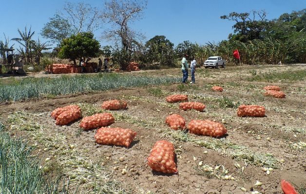 Los productores analizan invitar al Gobierno a un diálogo, luego de la convocatoria del 14 de diciembre en Azuero.  / Archivo