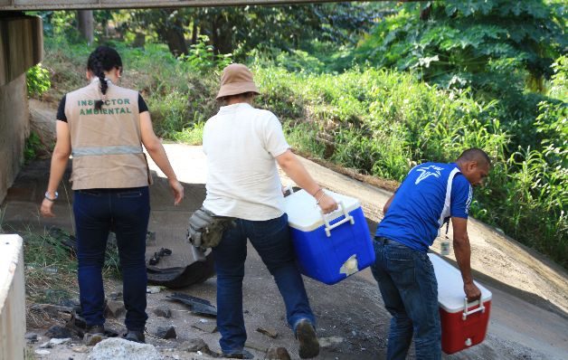 Toman muestras del agua del río Caimito.  / Pablo Castillo Miranda