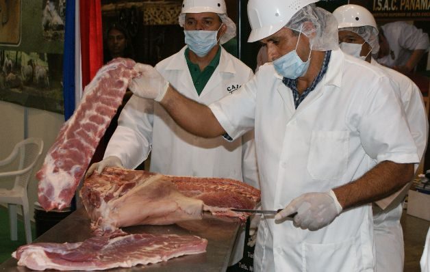 Productores de cerdo indican que el costo de producción se ha estabilizado, tras caída de los precios de  los insumos a nivel internacional.  / Archivo