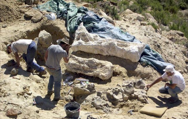 Los huesos fósiles. Foto:EFE 