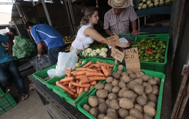 Productores invierten en tecnologías agrícolas como invernaderos e hidroponía para enfrentar la escasez de agua.  / Archivos