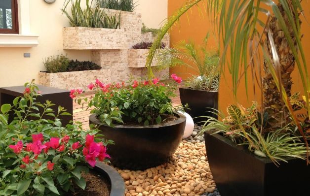 Las opciones son numerosas cuando se trata de ideas sobre el paisajismo. ¡Sigue algunos consejos!  / Archivo