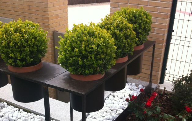 Saber distribuir y combinar. 