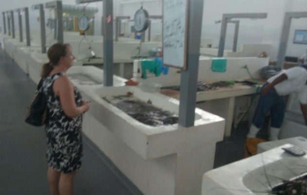 Tienen pocos mariscos. Foto/ Elena Valdez