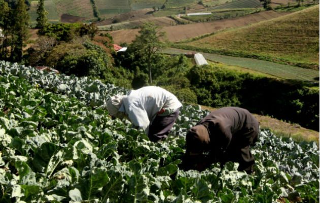 La capacitación se dará los días 23, 24 y 25 de febrero a partir de las 9:00 a.m. a 12:00 p.m/Archivo.