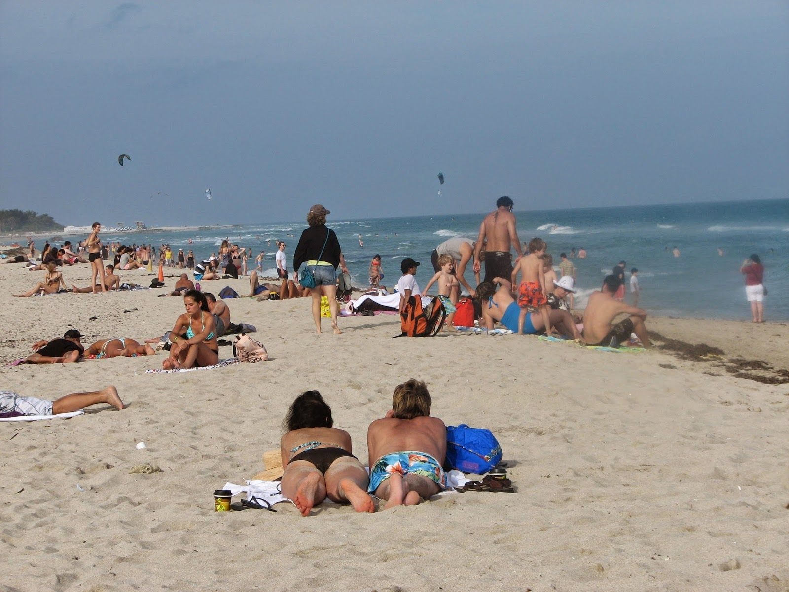 Florida, primer estado  con más de 100 millones de turistas en los EE.UU. 