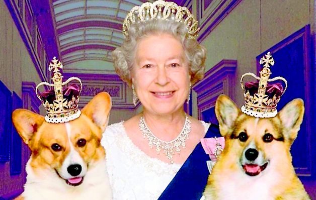 La reina, tiene claro como se tiene que educar a sus mascotas.