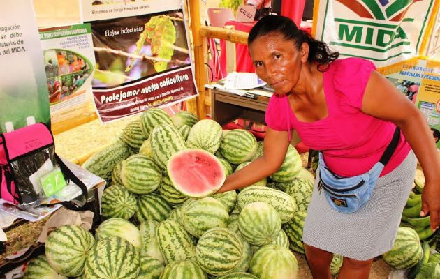 Estas sandías son una de las más dulces del país. Foto/ José Adames