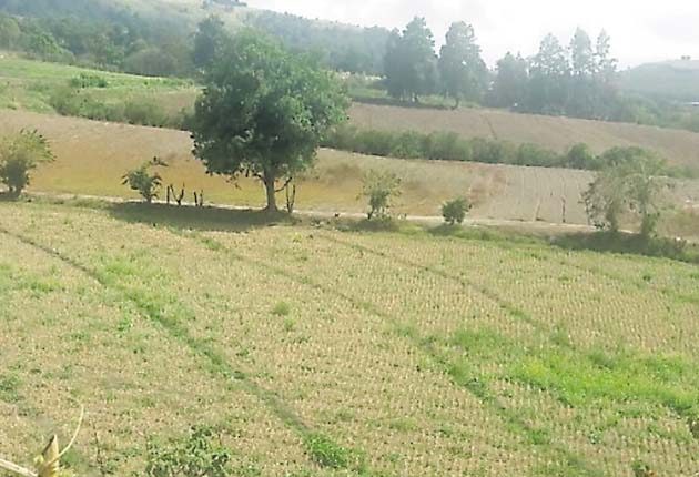 Altas temperaturas se sienten durante el día. /Foto Cortesía