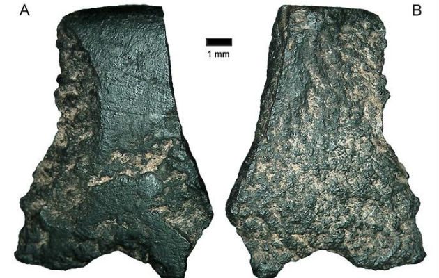 Fragmentos vistos a través de un microscopio. Foto/ EFE