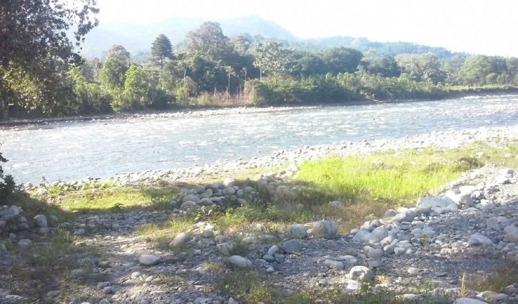 Río Guarumo en Chiriquí Grande, considerado uno de los más caudalosos de Bocas del Toro. Archivo Río Guarumo en Chiriquí Grande, considerado uno de los más caudalosos de Bocas del Toro. /Foto Archivo