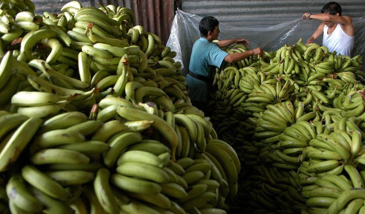 Las importaciones desde los EE.UU. experimentaron un incremento" del 39.45%. /Foto EFE