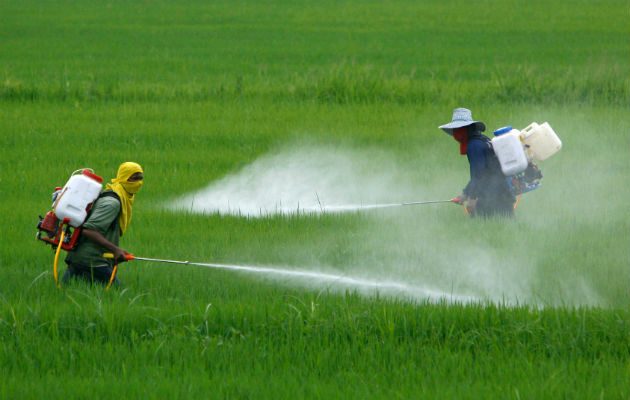 Cuando el riesgo sea muy elevado, se puede acabar con el uso del producto por completo/Cortesía.